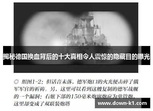 揭秘德国换血背后的十大真相令人震惊的隐藏目的曝光