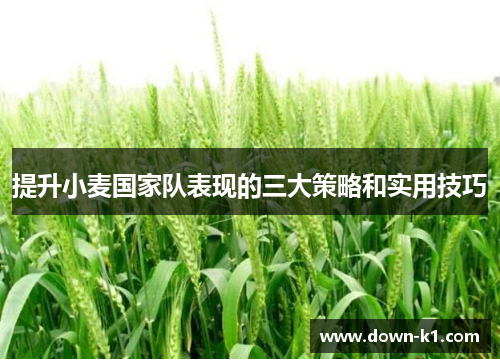 提升小麦国家队表现的三大策略和实用技巧 提升小麦国家队表现的三大策略和实用技巧