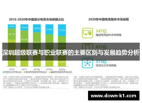 深圳超级联赛与职业联赛的主要区别与发展趋势分析