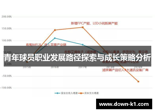 青年球员职业发展路径探索与成长策略分析 青年球员职业发展路径探索与成长策略分析